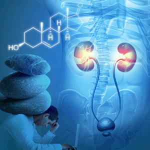 cortisol e DHEA
