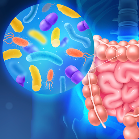microbiota intestinal